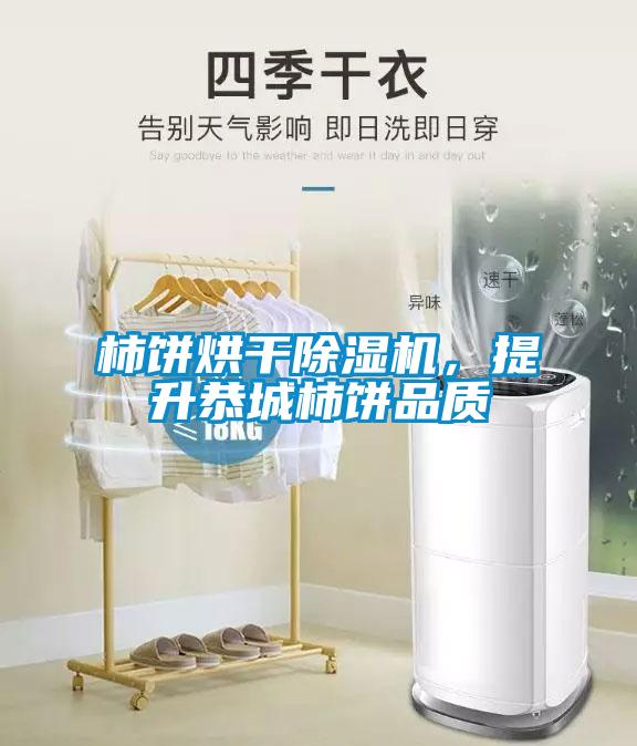 柿餅烘干除濕機，提升恭城柿餅品質(zhì)