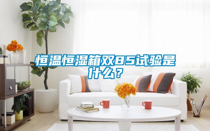 恒溫恒濕箱雙85試驗(yàn)是什么？