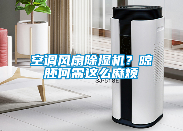 空調(diào)風(fēng)扇除濕機(jī)？晾胚何需這么麻煩