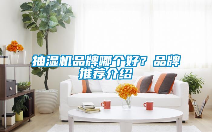 抽濕機(jī)品牌哪個好？品牌推薦介紹