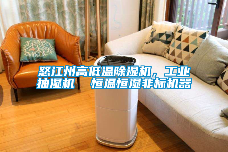 怒江州高低溫除濕機，工業(yè)抽濕機  恒溫恒濕非標(biāo)機器