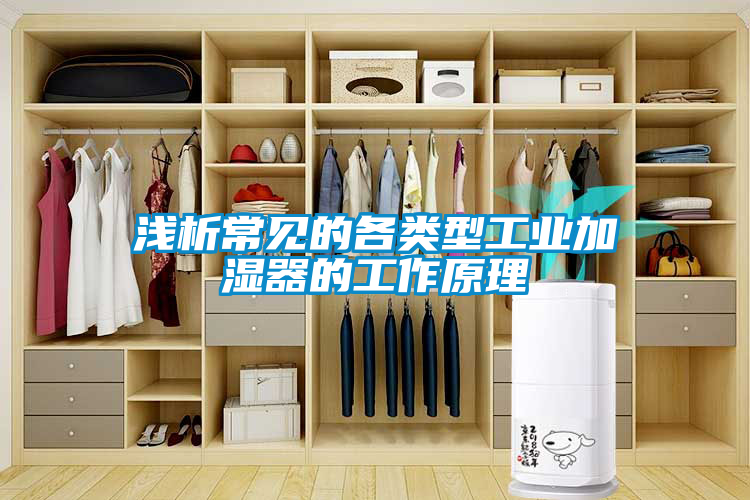 淺析常見(jiàn)的各類型工業(yè)加濕器的工作原理