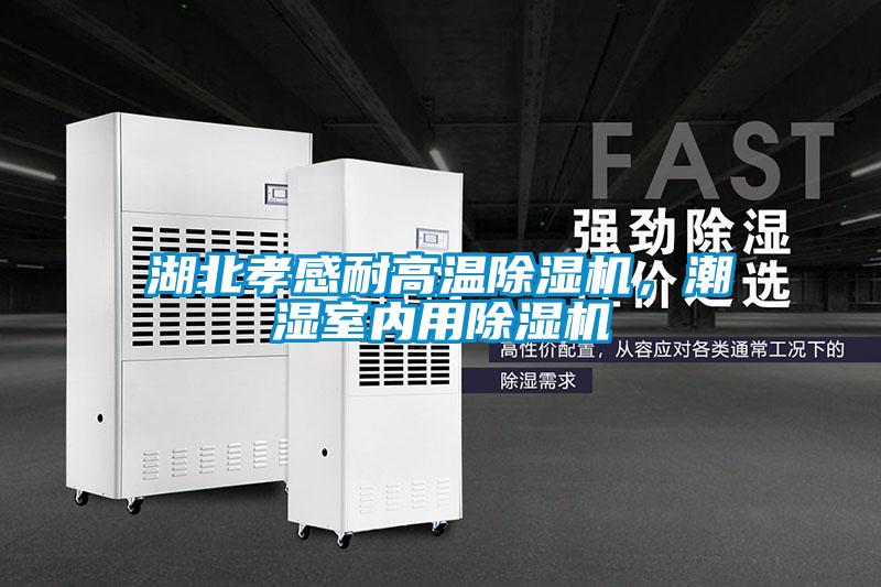 湖北孝感耐高溫除濕機(jī)，潮濕室內(nèi)用除濕機(jī)