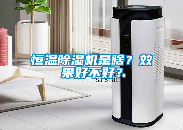 恒溫除濕機是啥？效果好不好？