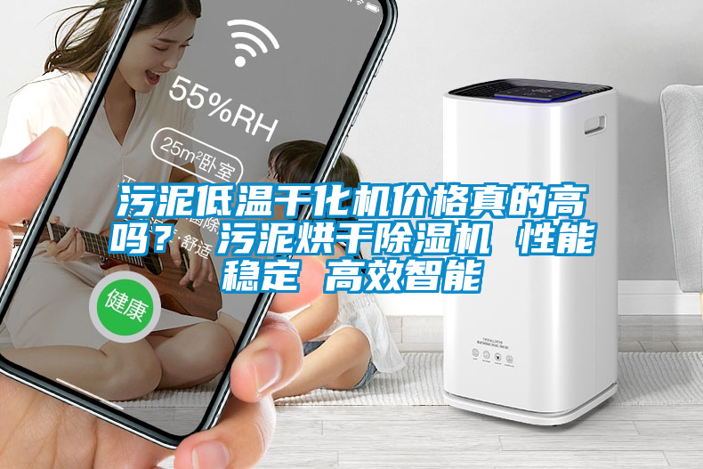 污泥低溫干化機(jī)價(jià)格真的高嗎？ 污泥烘干除濕機(jī) 性能穩(wěn)定 高效智能