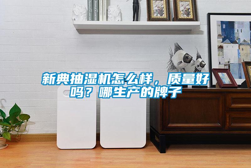 新典抽濕機(jī)怎么樣，質(zhì)量好嗎？哪生產(chǎn)的牌子
