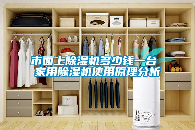 市面上除濕機(jī)多少錢一臺 家用除濕機(jī)使用原理分析