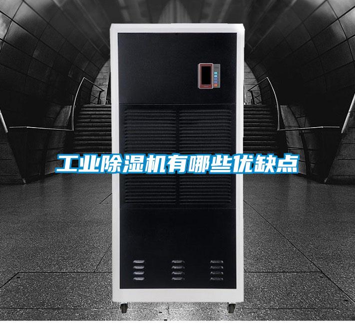 工業(yè)除濕機(jī)有哪些優(yōu)缺點(diǎn)