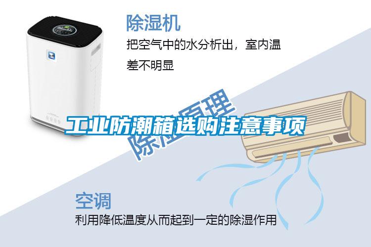 工業(yè)防潮箱選購注意事項