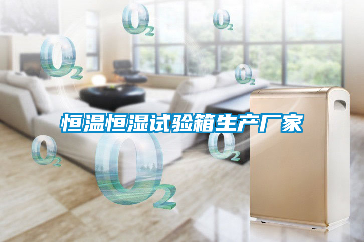 恒溫恒濕試驗(yàn)箱生產(chǎn)廠家