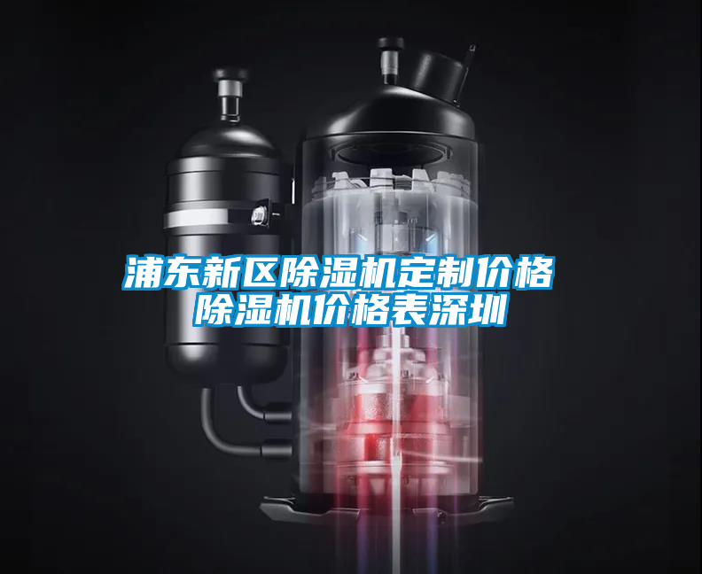 浦東新區(qū)除濕機(jī)定制價(jià)格 除濕機(jī)價(jià)格表深圳