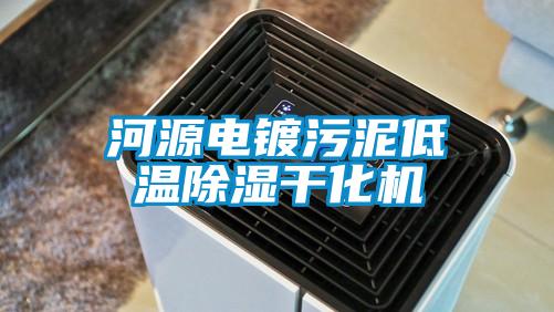 河源電鍍污泥低溫除濕干化機(jī)