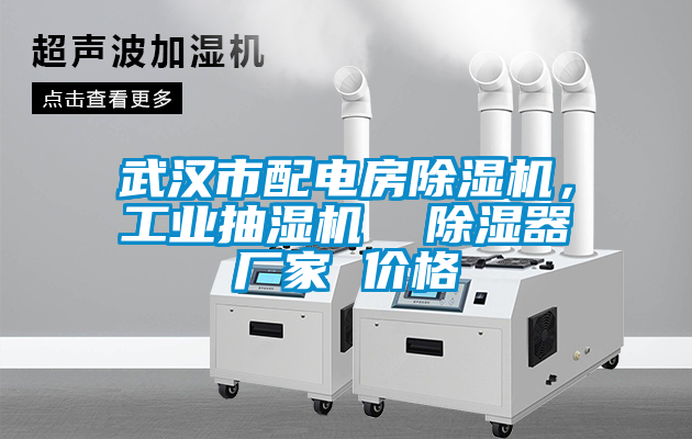 武漢市配電房除濕機(jī)，工業(yè)抽濕機(jī)  除濕器廠家 價(jià)格