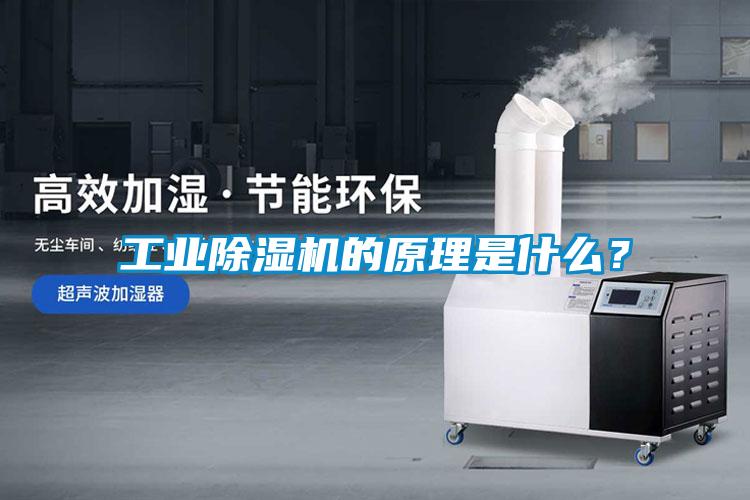 工業(yè)除濕機(jī)的原理是什么？