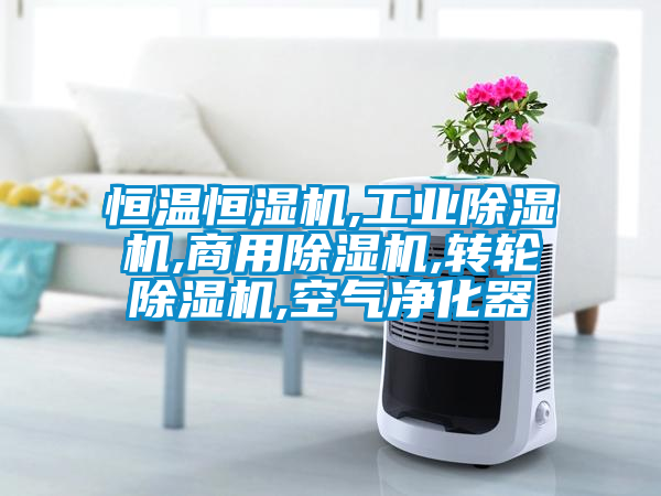 恒溫恒濕機(jī),工業(yè)除濕機(jī),商用除濕機(jī),轉(zhuǎn)輪除濕機(jī),空氣凈化器