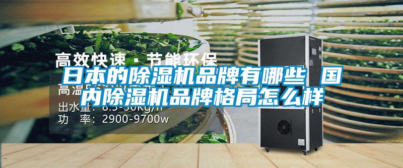 日本的除濕機(jī)品牌有哪些 國內(nèi)除濕機(jī)品牌格局怎么樣