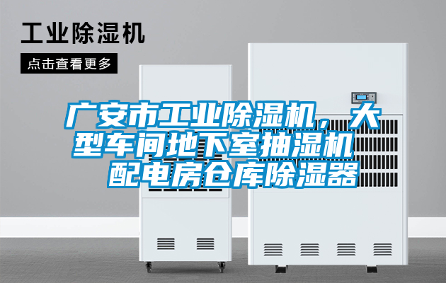 廣安市工業(yè)除濕機(jī)，大型車(chē)間地下室抽濕機(jī)  配電房倉(cāng)庫(kù)除濕器