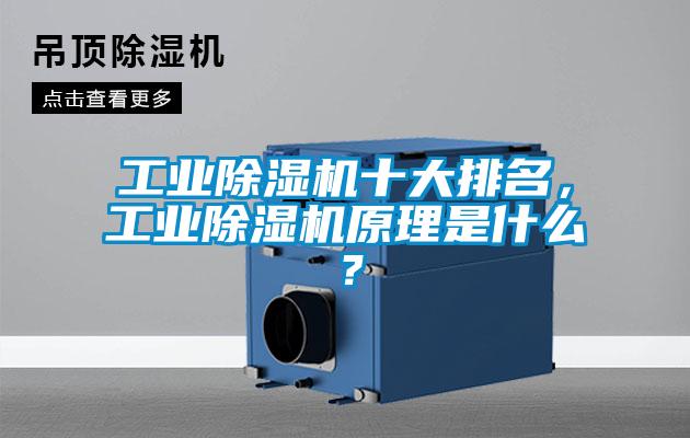 工業(yè)除濕機(jī)十大排名，工業(yè)除濕機(jī)原理是什么？