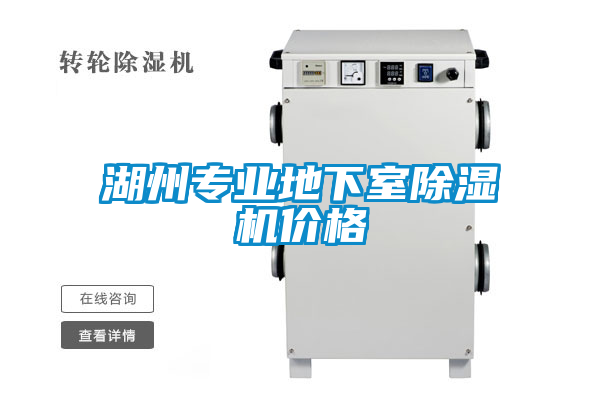湖州專業(yè)地下室除濕機價格