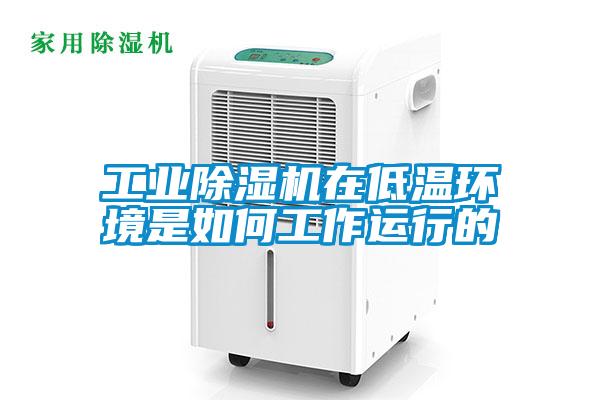 工業(yè)除濕機在低溫環(huán)境是如何工作運行的