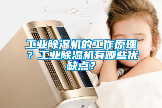 工業(yè)除濕機的工作原理？工業(yè)除濕機有哪些優(yōu)缺點？