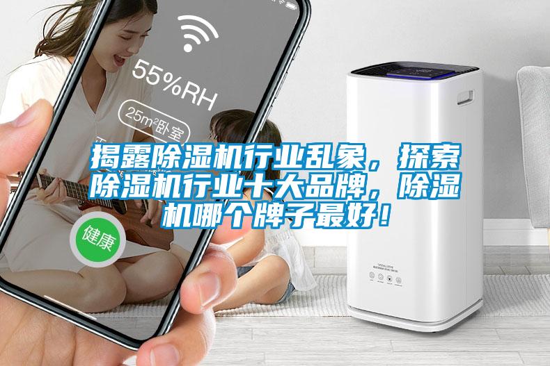 揭露除濕機(jī)行業(yè)亂象，探索除濕機(jī)行業(yè)十大品牌，除濕機(jī)哪個(gè)牌子最好！