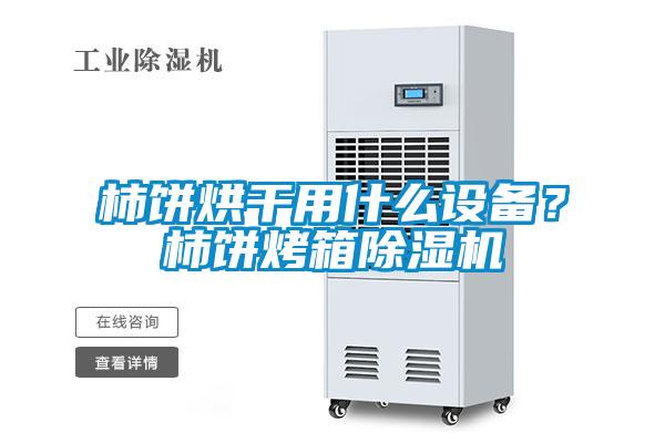 柿餅烘干用什么設(shè)備？柿餅烤箱除濕機(jī)