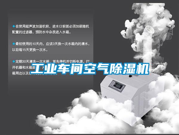 工業(yè)車間空氣除濕機