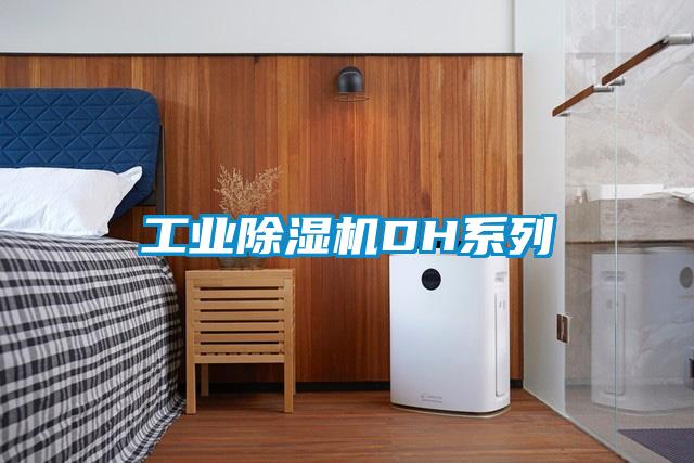 工業(yè)除濕機DH系列