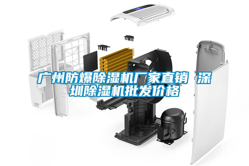 廣州防爆除濕機(jī)廠家直銷(xiāo) 深圳除濕機(jī)批發(fā)價(jià)格