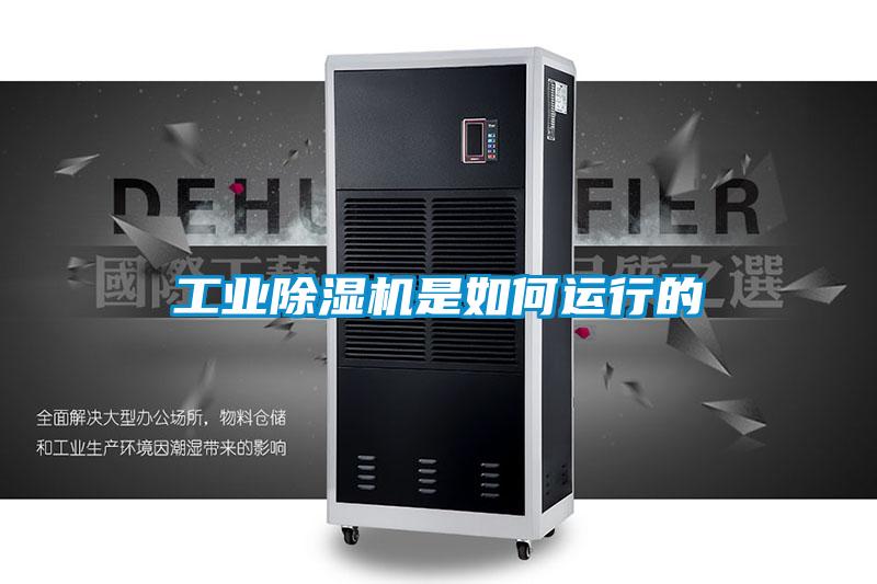 工業(yè)除濕機(jī)是如何運行的