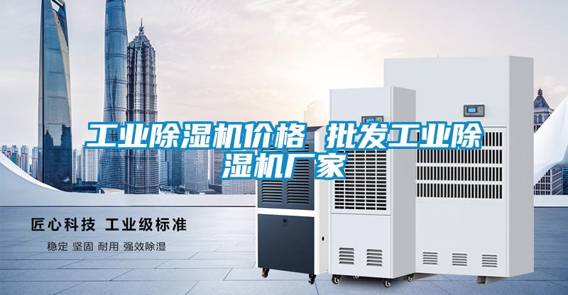 工業(yè)除濕機價格 批發(fā)工業(yè)除濕機廠家