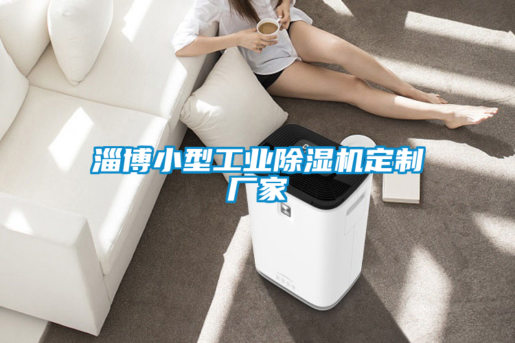 淄博小型工業(yè)除濕機定制廠家