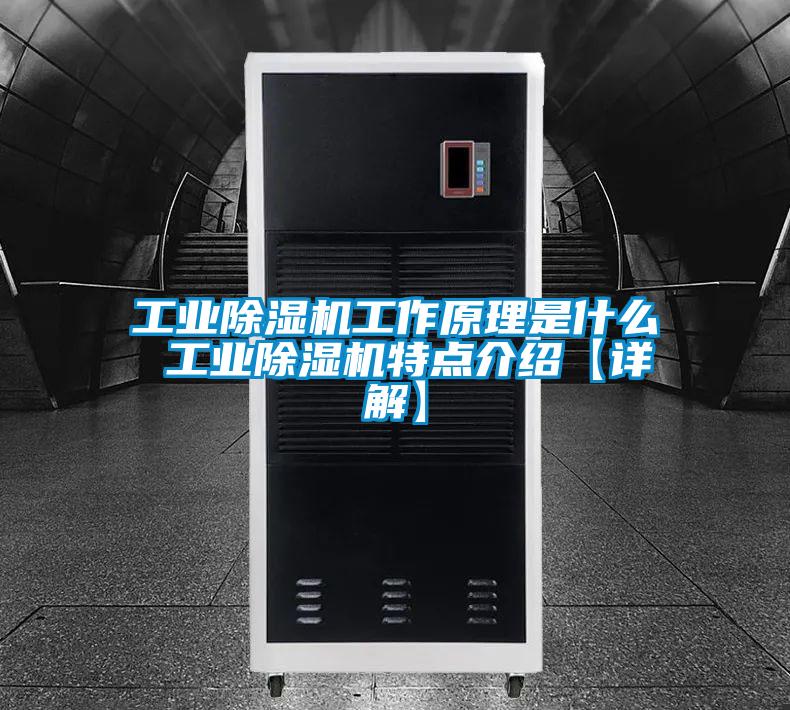 工業(yè)除濕機(jī)工作原理是什么 工業(yè)除濕機(jī)特點介紹【詳解】
