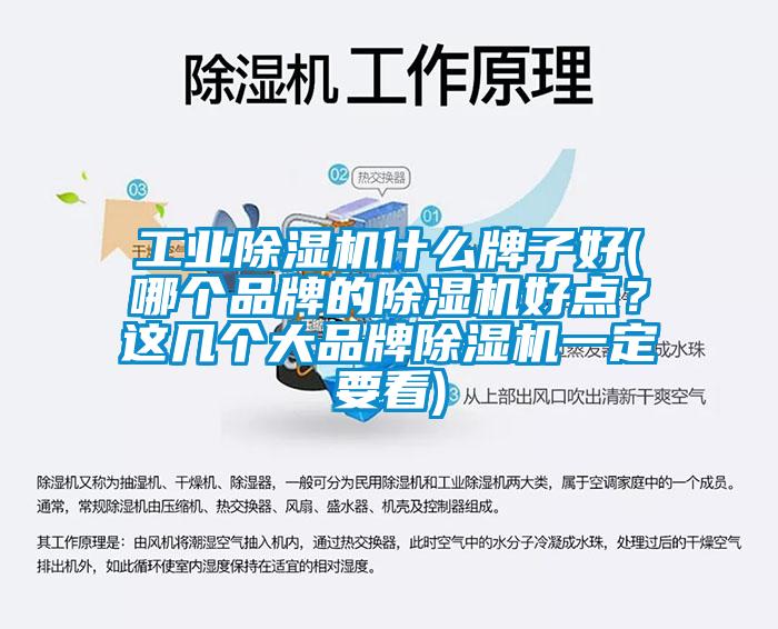 工業(yè)除濕機什么牌子好(哪個品牌的除濕機好點？這幾個大品牌除濕機一定要看)