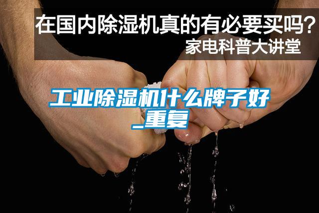 工業(yè)除濕機什么牌子好_重復