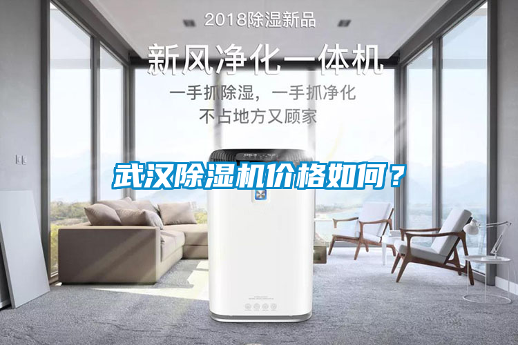 武漢除濕機價格如何？