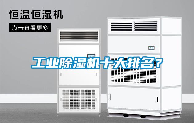 工業(yè)除濕機(jī)十大排名？