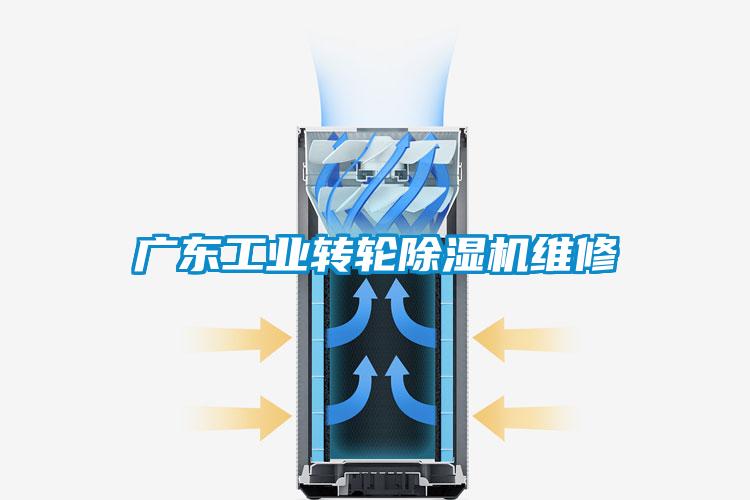 廣東工業(yè)轉(zhuǎn)輪除濕機維修