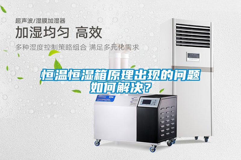 恒溫恒濕箱原理出現(xiàn)的問題如何解決？