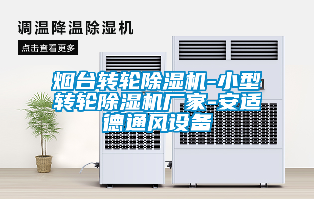 煙臺轉(zhuǎn)輪除濕機(jī)-小型轉(zhuǎn)輪除濕機(jī)廠家-安適德通風(fēng)設(shè)備