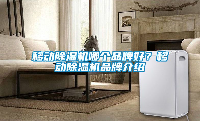 移動除濕機(jī)哪個品牌好？移動除濕機(jī)品牌介紹