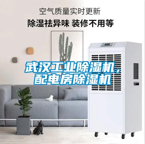 武漢工業(yè)除濕機(jī)，配電房除濕機(jī)