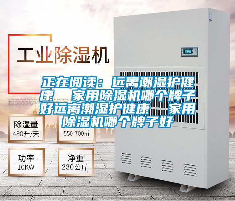 正在閱讀：遠(yuǎn)離潮濕護(hù)健康  家用除濕機(jī)哪個牌子好遠(yuǎn)離潮濕護(hù)健康  家用除濕機(jī)哪個牌子好