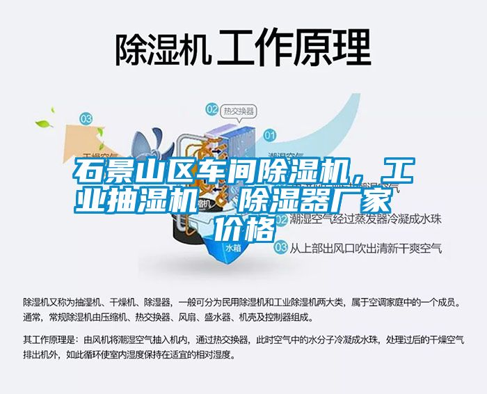 石景山區(qū)車(chē)間除濕機(jī)，工業(yè)抽濕機(jī)  除濕器廠家 價(jià)格