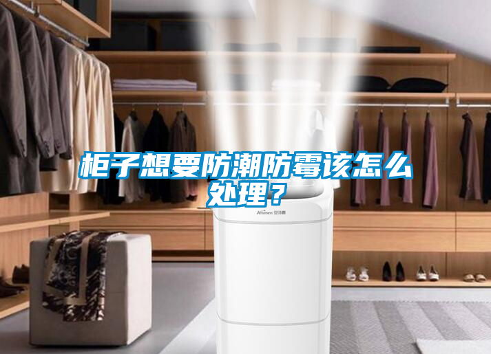 柜子想要防潮防霉該怎么處理？