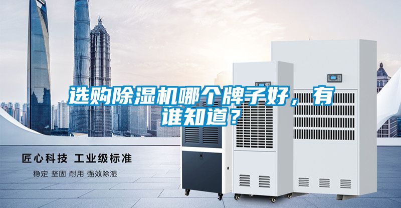 選購(gòu)除濕機(jī)哪個(gè)牌子好，有誰(shuí)知道？