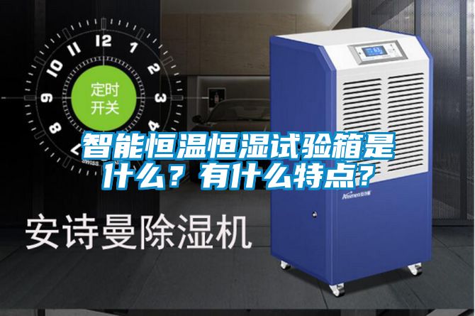 智能恒溫恒濕試驗(yàn)箱是什么？有什么特點(diǎn)？