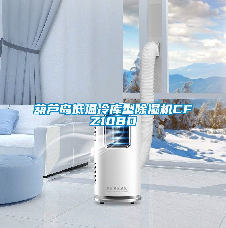 葫蘆島低溫冷庫型除濕機(jī)CFZ10BD