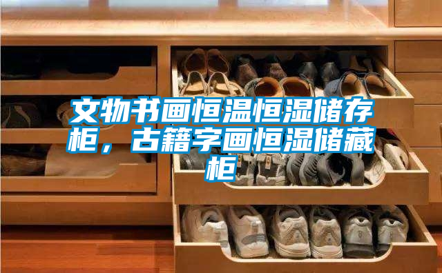 文物書畫恒溫恒濕儲存柜，古籍字畫恒濕儲藏柜
